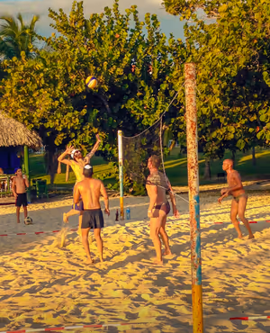 Volleyball